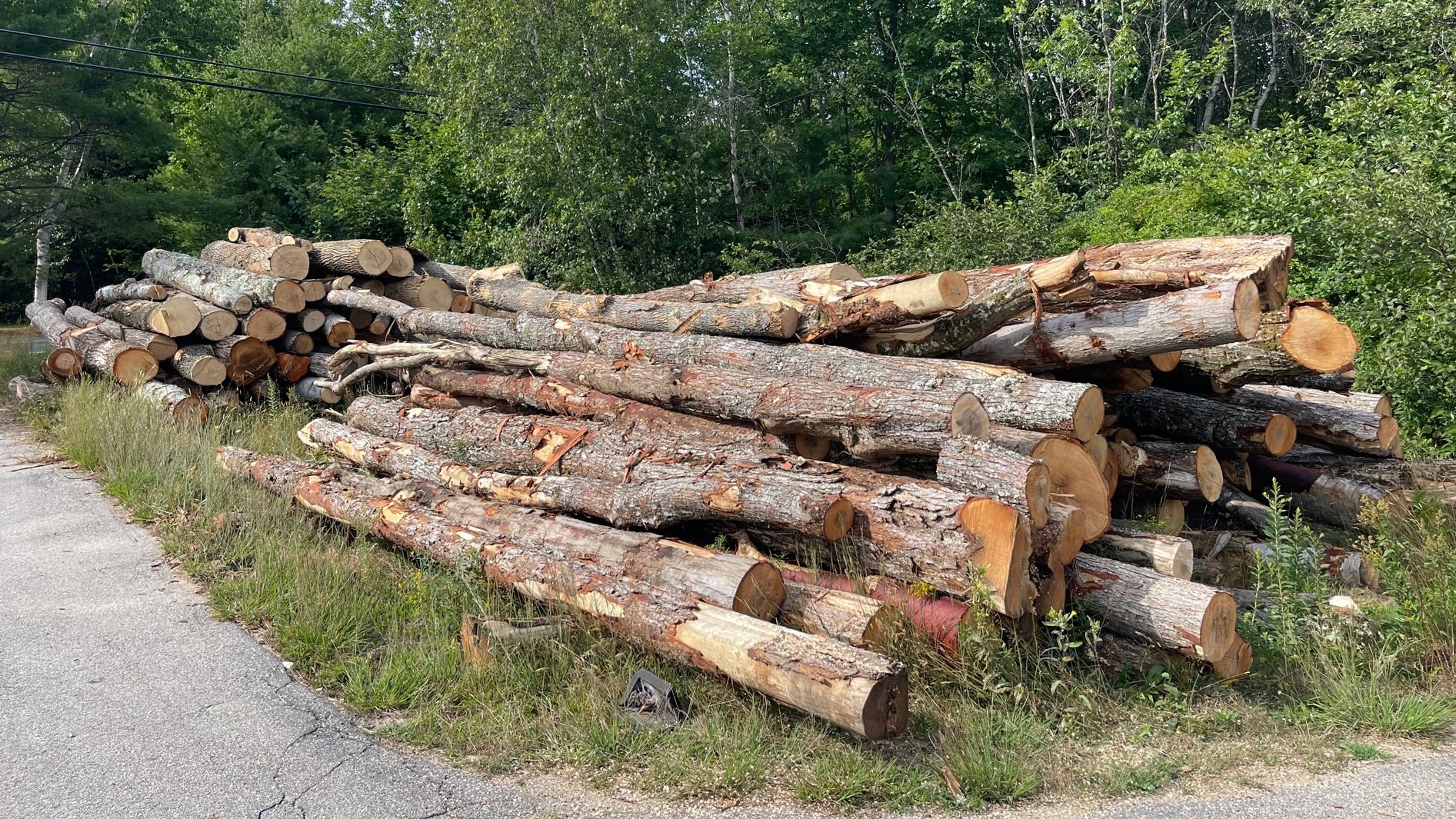 Hardwood Logs To Be Split