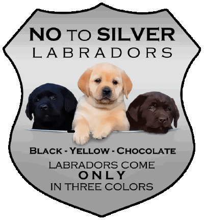 Say No To Silver